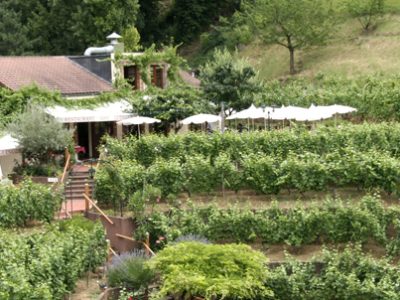 Chemin des vignes à Issy