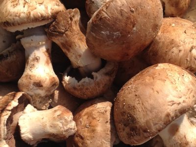 Champignons de Paris