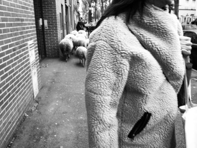 Clinamen, les bergers urbains dans le 93