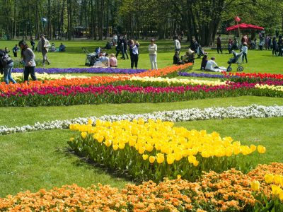 Fête des tulipes à Saint-Denis / DR