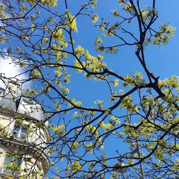 #jesuisnonchalant même à Paname / © Sandra berkoukeche
