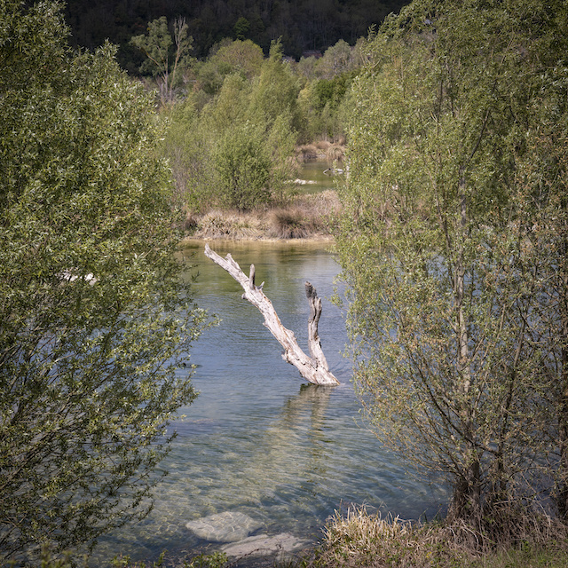 Etang le long de la Seine à Vélo entre Guernes et Sandrancourt / © Jérômine Derigny pour Enlarge your Paris  