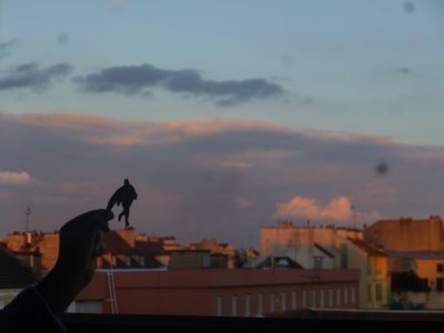 Batman / © Emile 5 ans - www.vudenosfenetres.fr