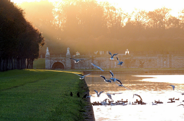 Grand canal à Fontainebleau / Crédit : David fleg Grand canal à Fontainebleau / Crédit : David fleg