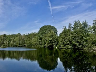 Les marais de l'Essonne / © Vianney Delourme pour Enlarge your Paris