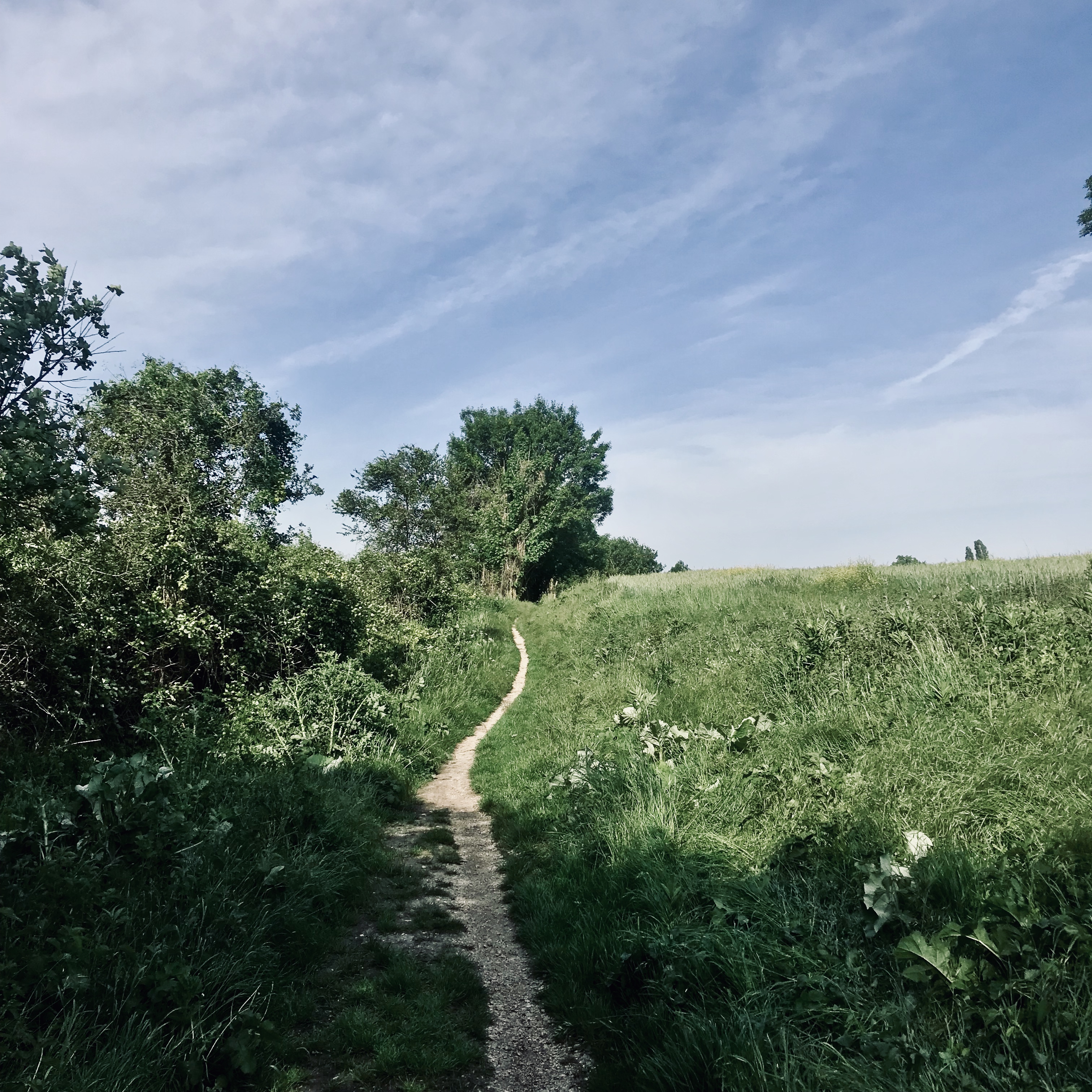 Les marais de l'Essonne (91). Vianney Delourme pour Enlarge your Paris