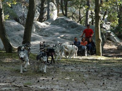 Christian Perlwitz, l'unique musher d'Île-de-France / © Christian Perlwitz