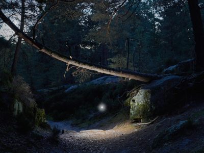 Wandering Spirits, forêt de Fontainebleau / © Benoît Lapray