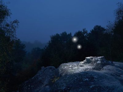 Wandering Spirits, forêt de Fontainebleau / © Benoît Lapray