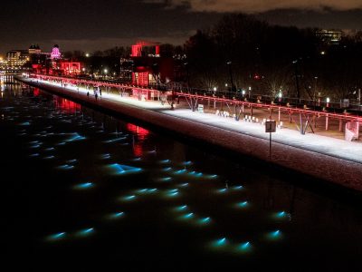 Les installations de l'exposition 