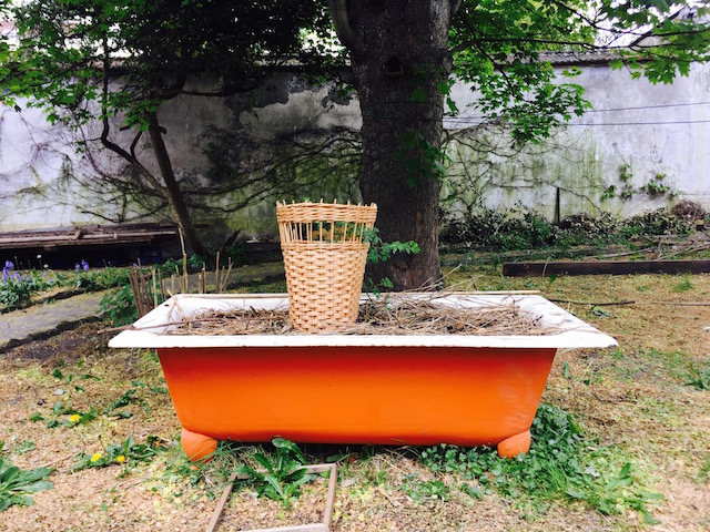 Ferme urbaine Chez Basile à Saint-Denis / © Julie Gourhant