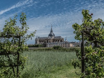 Le potager du Roi à Versailles / © Jean-Fabien Leclanche pour Enlarge your Paris