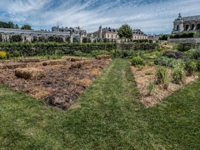 Le Potager du Roi à Versailles / © Jean-Fabien Leclanche pour Enlarge your Paris