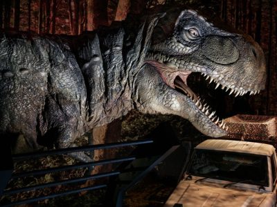 Le T-Rex de l'exposition 