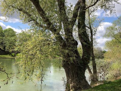 La Marne / © Jean-Fabien Leclanche pour Enlarge your Paris