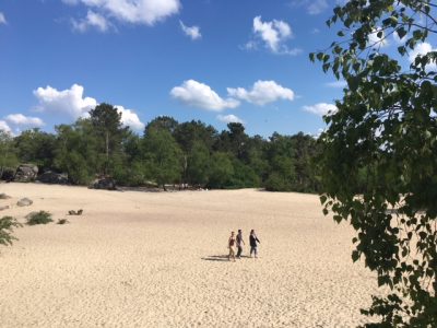 Les sables du Cul du chien dans la forêt de Fontainebleau / © Steve Stillman pour Enlarge your Paris