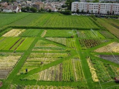 Vue aérienne de la ferme urbaine de Saint-Denis / © Parti poétique