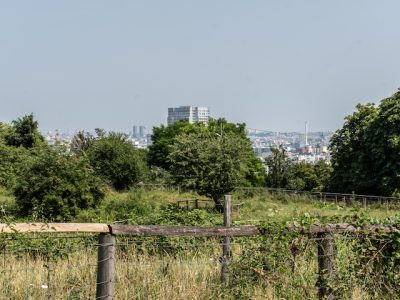 La vue depuis le parc des Lilas à Vitry / © Jean-Fabien Leclanche pour Enlarge your Paris