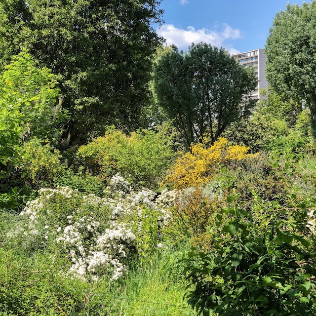 Parc de l'Île Saint-Germain à Issy / © Jean-Fabien Leclanche pour Enlarge your Paris