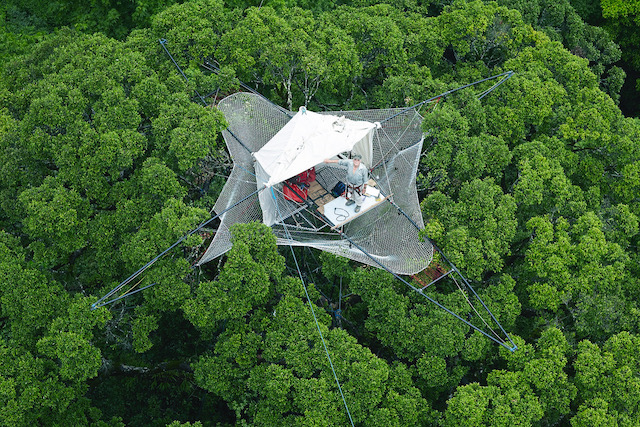 Projet "Radeau des cimes" de l'architecte Gilles Ebersolt, parrain du festival Bellastock / © Opération Canopée