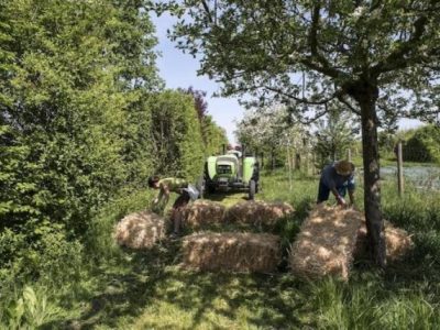 L'exploitation de Planète Lilas dans le parc des Lilas à Vitry / © Planète Lilas