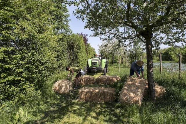 L'exploitation de Planète Lilas dans le parc des Lilas à Vitry / © Planète Lilas
