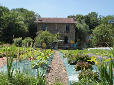 V'Île fertile dans le Jardin d'agronomie tropicale à Nogent-sur-Marne / © V'Île fertile