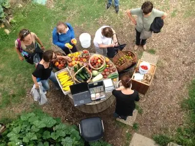 Vente de légumes chez V'Île fertile dans le Jardin d'agronomie tropicale à Nogent-sur-Marne / © V'Île fertile