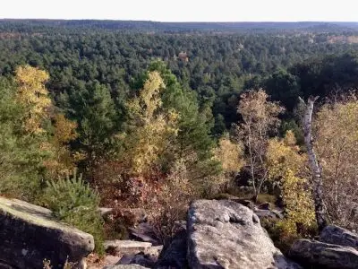 Circuit des 25 bosses dans la forêt de Fontainebleau / © Steve Stillman pour Enlarge your Paris