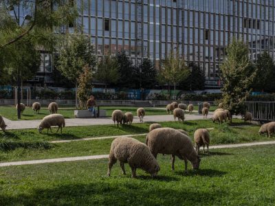 Transhumance des Bergers Urbains entre Villetaneuse et La Courneuve en passant par Paris le 16 septembre 2018 / © Jean-Fabien Leclanche pour Enlarge Your Paris