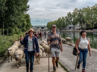 Transhumance des Bergers Urbains entre Villetaneuse et La Courneuve en passant par Paris le 16 septembre 2018 / © Jean-Fabien Leclanche pour Enlarge Your Paris