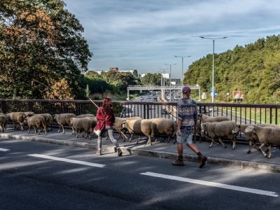 Transhumance des Bergers Urbains entre Villetaneuse et La Courneuve en passant par Paris le 16 septembre 2018 / © Jean-Fabien Leclanche pour Enlarge Your Paris
