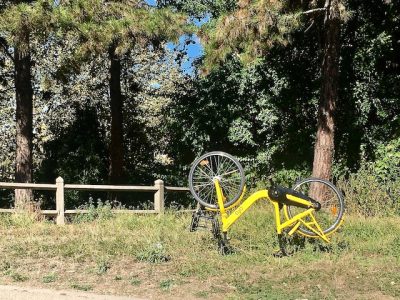 Vélo en libre-service dans le bois de Boulogne / © Steve Stillman pour Enlarge your Paris