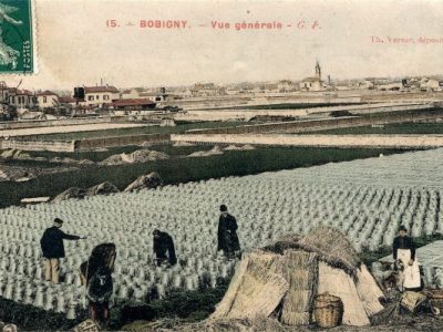 Un champ à Bobigny dans l'ancienne plaine des Vertus / DR