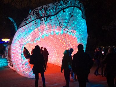 Espèces en voie d'illumination au Jardin des plantes à Paris / © Steve Stillman pour Enlarge your Paris
