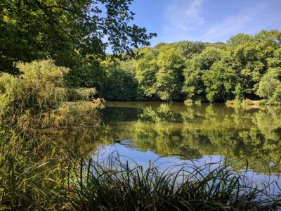 La forêt de Meudon / © Helloways