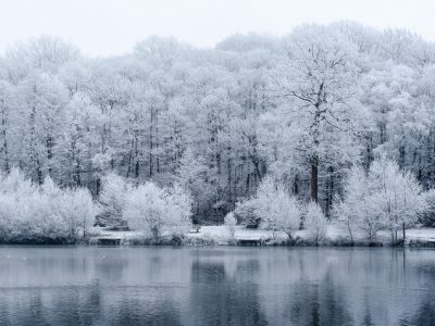 La forêt de Meudon / © Arseni Mourzenko (Creative commons – Flickr)