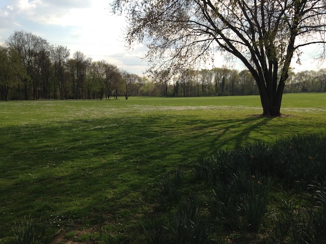 Parc des Chanteraines / © Steve Stilmann pour Enlarge your Paris