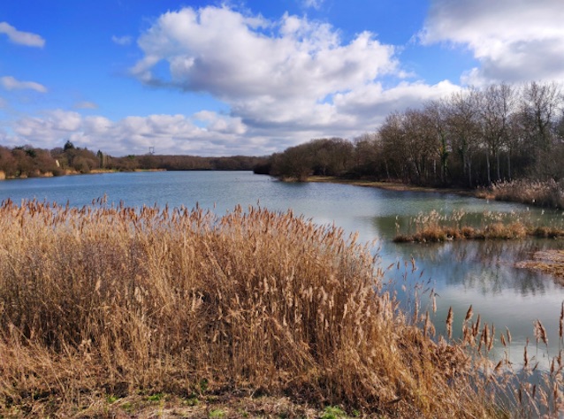 L'étang de la tour en forêt de Rambouillet / © Helloways