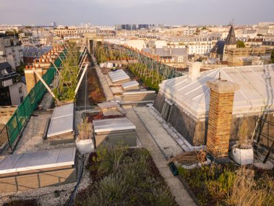 Le toit cultivé d'AgroParisTech dans le 5e arrondissement / © davidhaddad.com