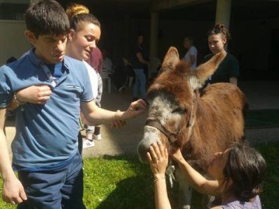 Séance de médiation animale avec l'association Ânes en ville / © Ânes en ville