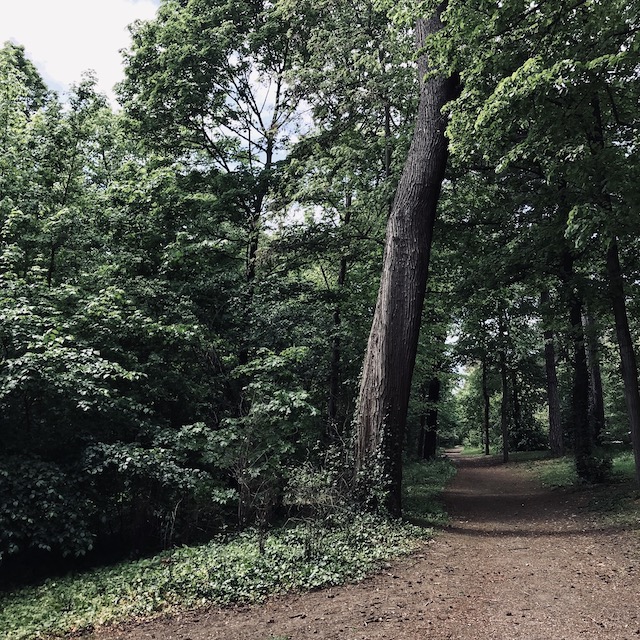 Le bois de Boulogne / © Vianney Delourme pour Enlarge your Paris