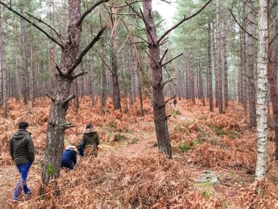 La forêt de Rambouillet / © Steve Stillman pour Enlarge your Paris