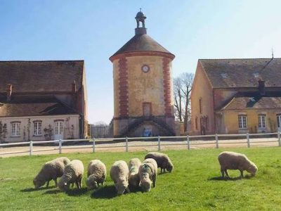 La Bergerie nationale de Rambouillet / © Bergerie nationale