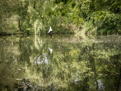 La réserve naturelle régionale du bassin de la Bièvre dans les Yvelines / ©  Jéromine Derigny pour Enlarge your Paris