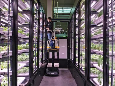 Potager vertical installé par METRO France et INFARM dans l’entrepôt METRO de Nanterre. Des herbes aromatiques y poussent toute l’année sans pesticides en culture hydroponique. L’hydroponie est une technique de culture hors-sol, les racines des plants plongent dans une solution nutritive minérale.