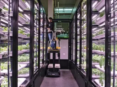Potager vertical installé par METRO France et INFARM dans l’entrepôt METRO de Nanterre. Des herbes aromatiques y poussent toute l’année sans pesticides en culture hydroponique. L’hydroponie est une technique de culture hors-sol, les racines des plants plongent dans une solution nutritive minérale.