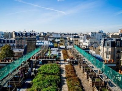 Le toit potager de l'école AgroParisTech à Paris / © Baptiste Grard