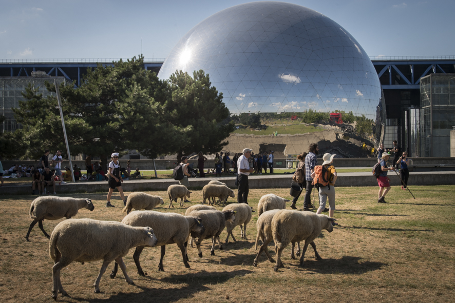 La Transhumance du Grand Paris à La Villette / © Jéromine Derigny - Collectif Argos