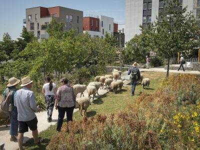 Le quartier des Têtres à Bagneux / © Jérômine Derigny